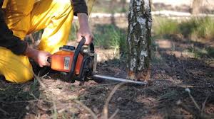 Best Lawn Irrigation Installation and Maintenance  in Hightstown, NJ